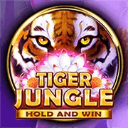 Biểu đồ chiến lược chơi Baccarat hiệu quả tại quang88 link mới
