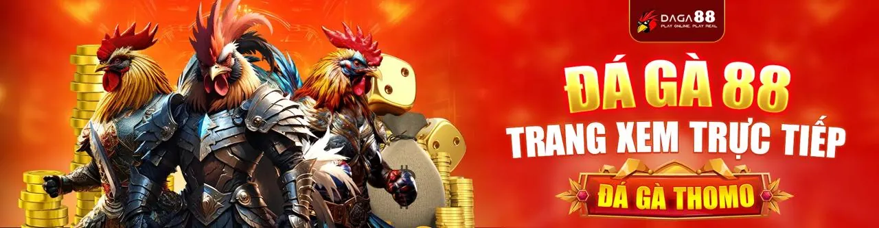 quang88 Link Mới - Nền Tảng Cá Cược Trực Tuyến Hàng Đầu
