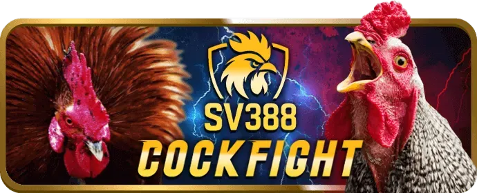 Chơi công bằng RNG